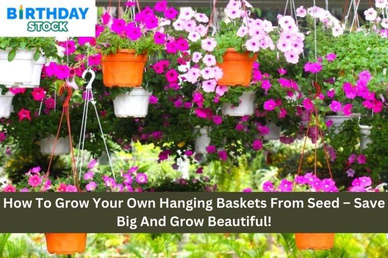 How To Grow Your Own Hanging Baskets From Seed – Save Big And Grow Beautiful!
