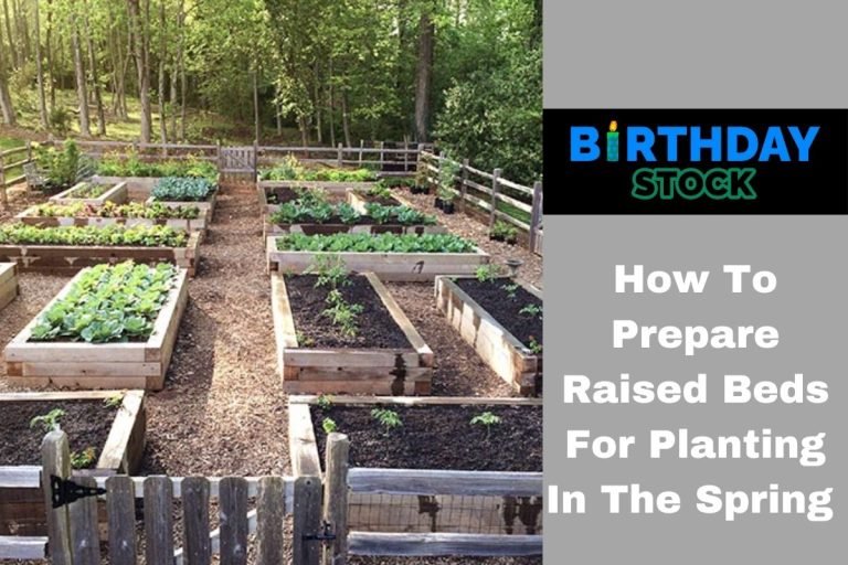 How To Prepare Raised Beds For Planting In The Spring