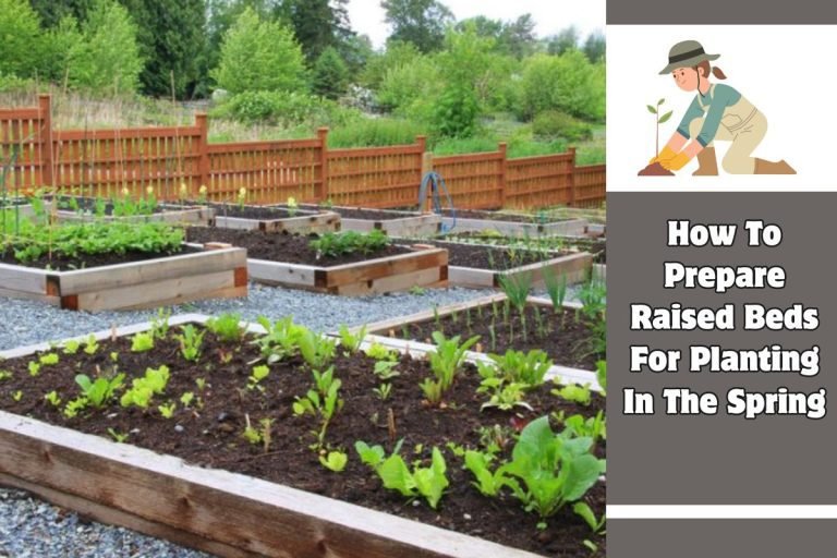 How To Prepare Raised Beds For Planting In The Spring