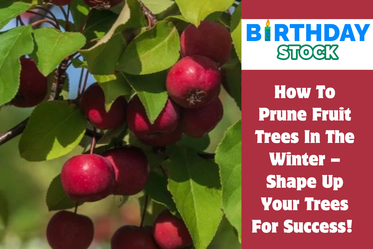 How To Prune Fruit Trees In The Winter – Shape Up Your Trees For Success! 