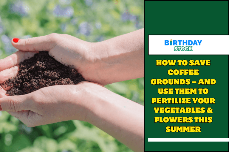 How To Save Coffee Grounds – And Use Them To Fertilize Your Vegetables & Flowers This Summer