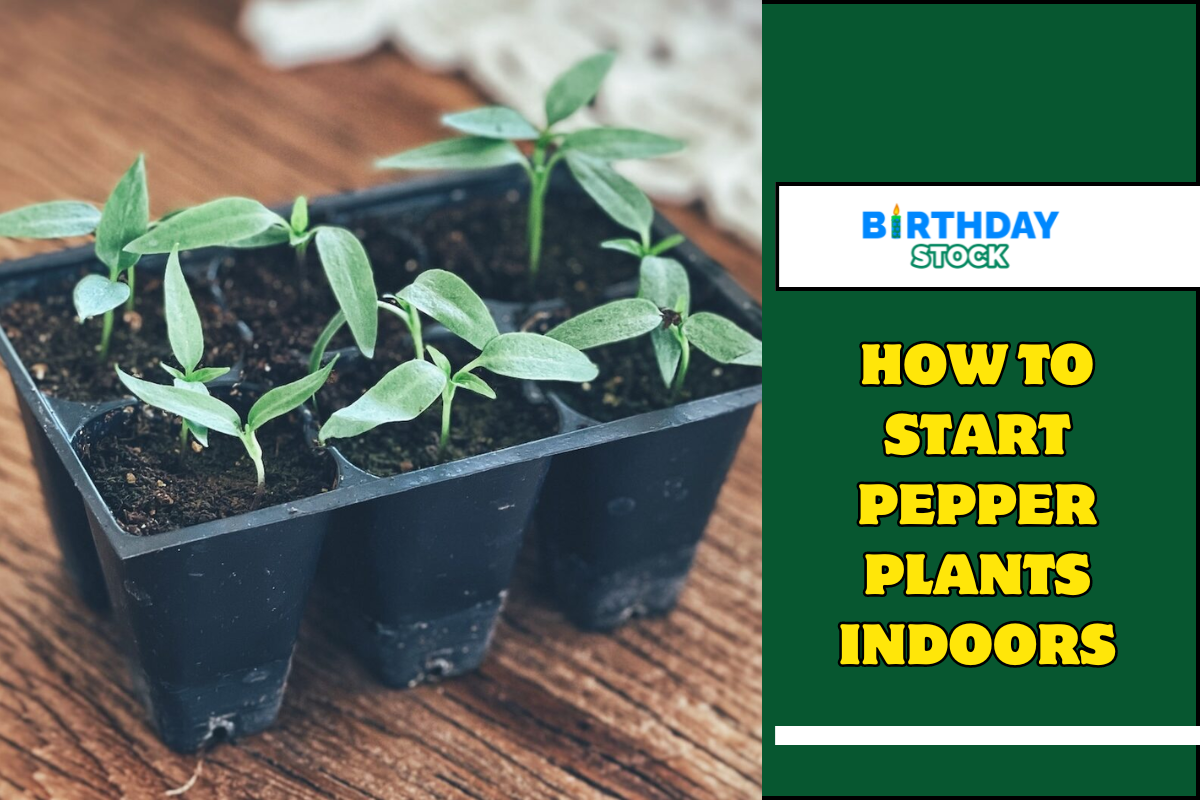 How To Start Pepper Plants Indoors