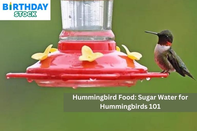 Hummingbird Food Sugar Water for Hummingbirds 101