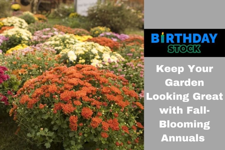 Keep Your Garden Looking Great with Fall-Blooming Annuals
