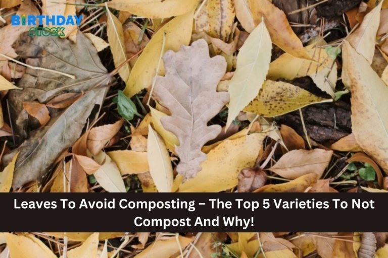 Leaves To Avoid Composting – The Top 5 Varieties To Not Compost And Why!