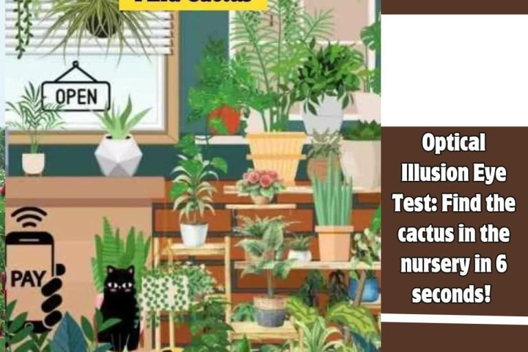 Optical Illusion Eye Test Find the cactus in the nursery in 6 seconds!