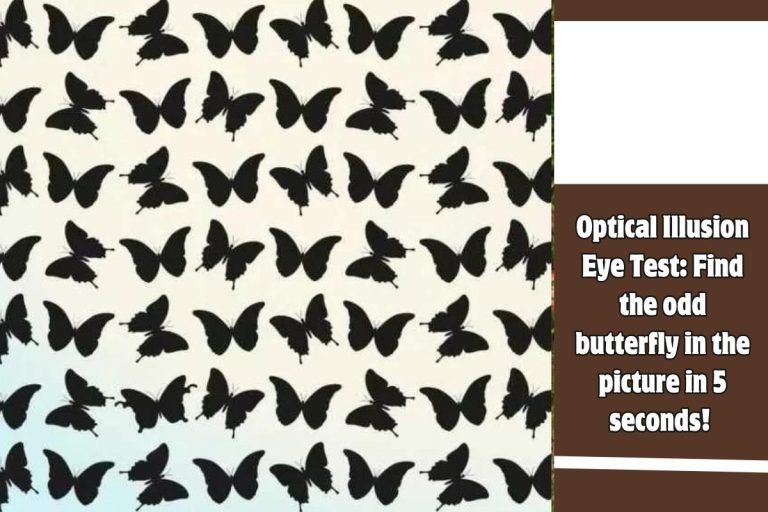 Optical Illusion Eye Test Find the odd butterfly in the picture in 5 seconds!