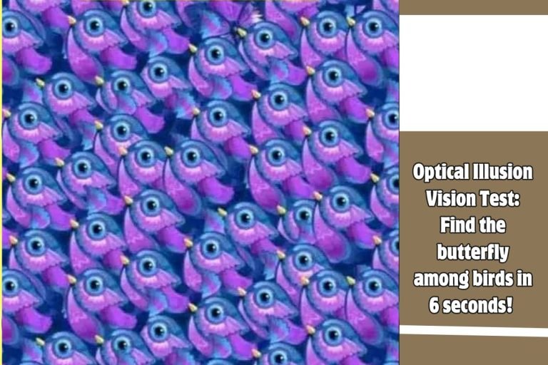 Optical Illusion Vision Test Find the butterfly among birds in 6 seconds!