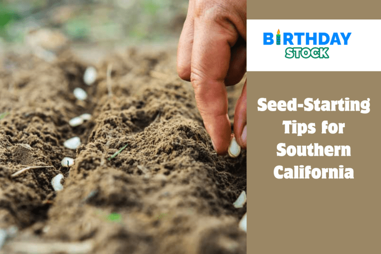 Seed-Starting Tips for Southern California 
