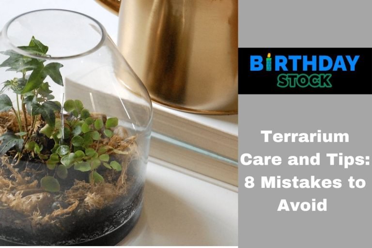 Terrarium Care and Tips 8 Mistakes to Avoid
