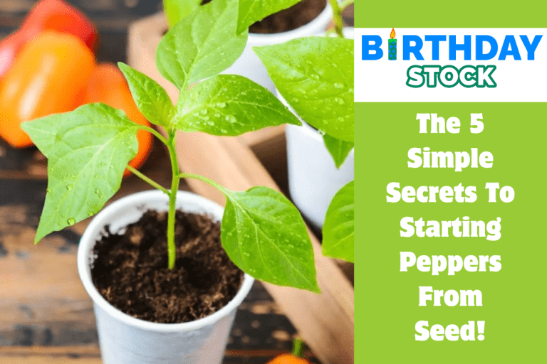 The 5 Simple Secrets To Starting Peppers From Seed!