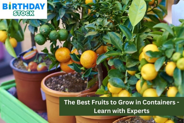The Best Fruits to Grow in Containers - Learn with Experts