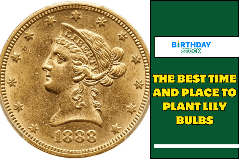 The Best Time and Place to Plant Lily Bulbs