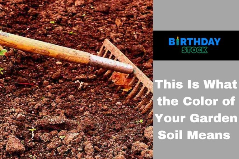 This Is What the Color of Your Garden Soil Means