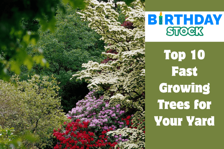 Top 10 Fast Growing Trees for Your Yard