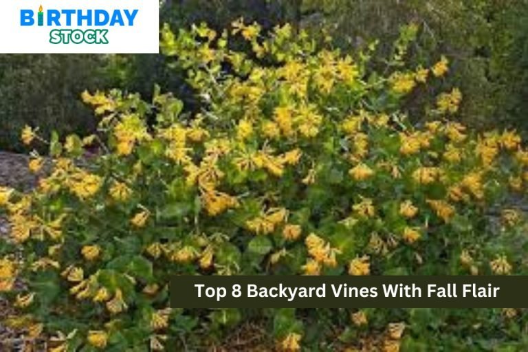 Top 8 Backyard Vines With Fall Flair