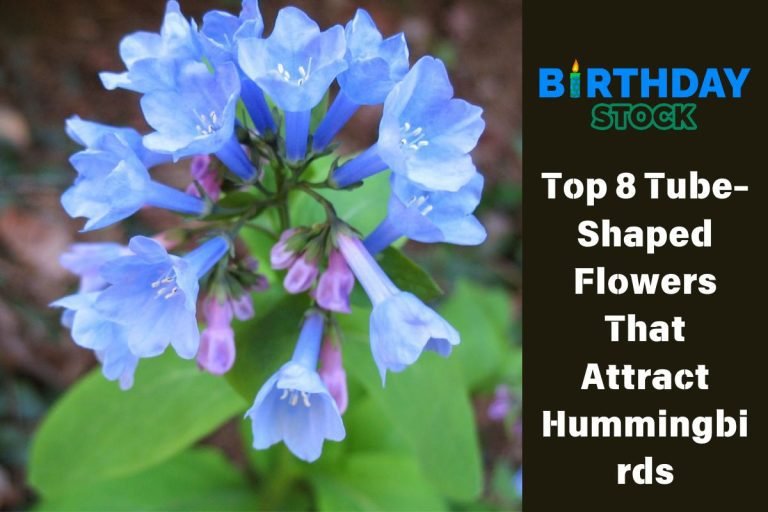 Top 8 Tube-Shaped Flowers That Attract Hummingbirds
