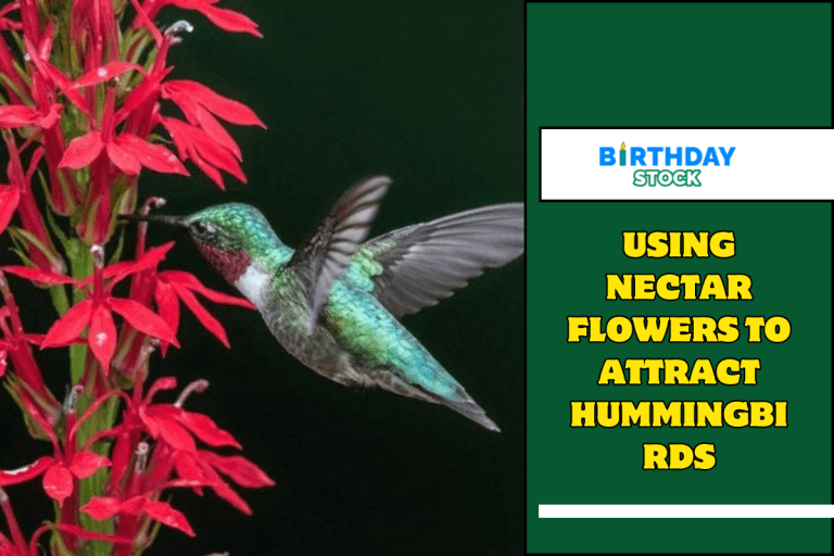 Using Nectar Flowers to Attract Hummingbirds