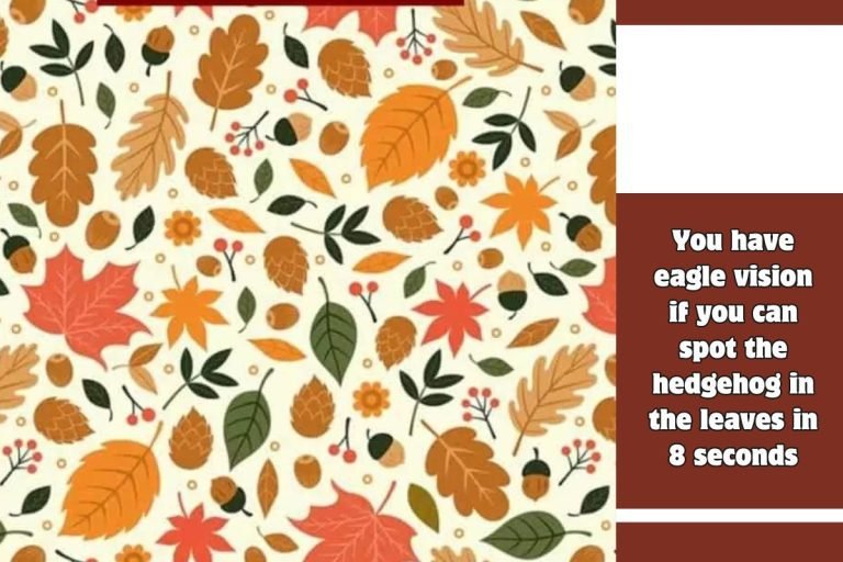 You have eagle vision if you can spot the hedgehog in the leaves in 8 seconds