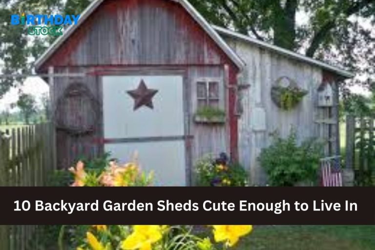 10 Backyard Garden Sheds Cute Enough to Live In