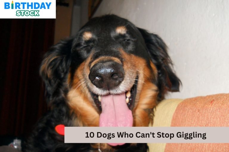 10 Dogs Who Can't Stop Giggling