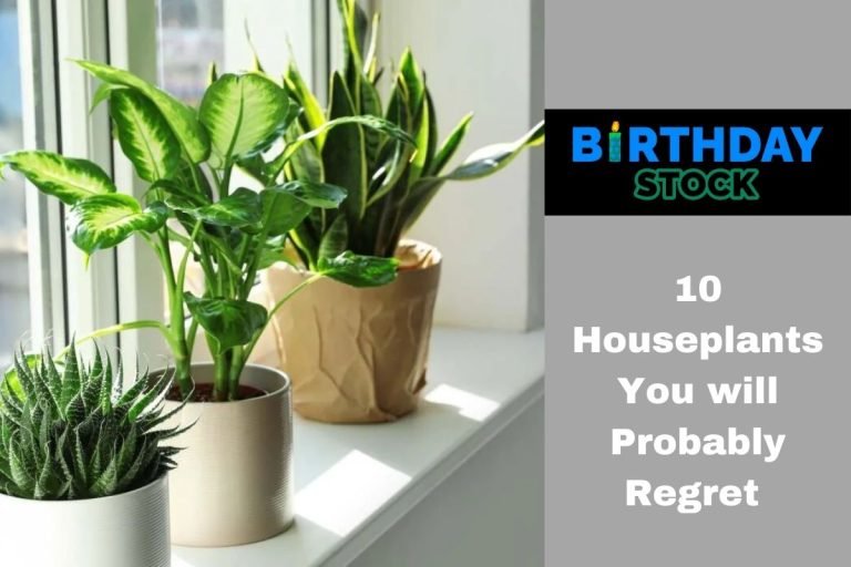 10 Houseplants You will Probably Regret