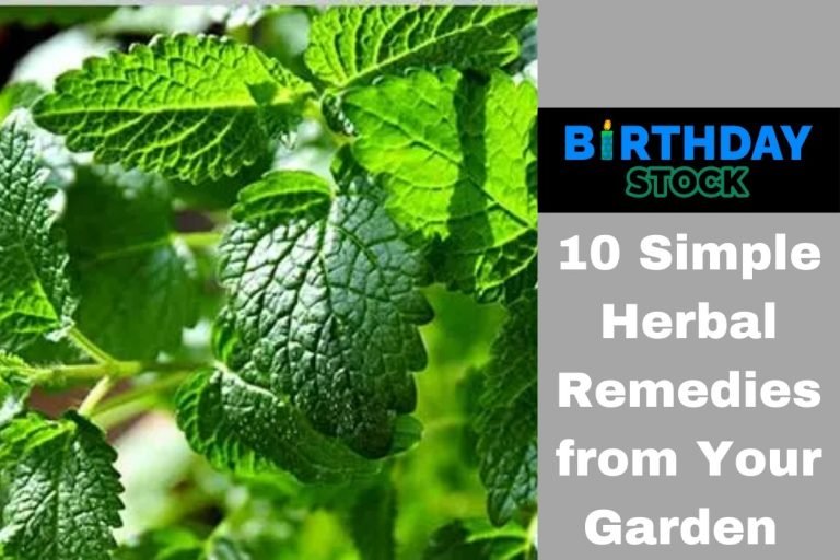 10 Simple Herbal Remedies from Your Garden