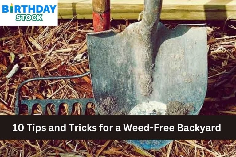 10 Tips and Tricks for a Weed-Free Backyard
