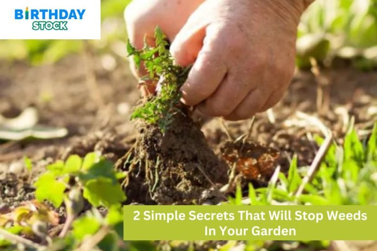 2 Simple Secrets That Will Stop Weeds In Your Garden
