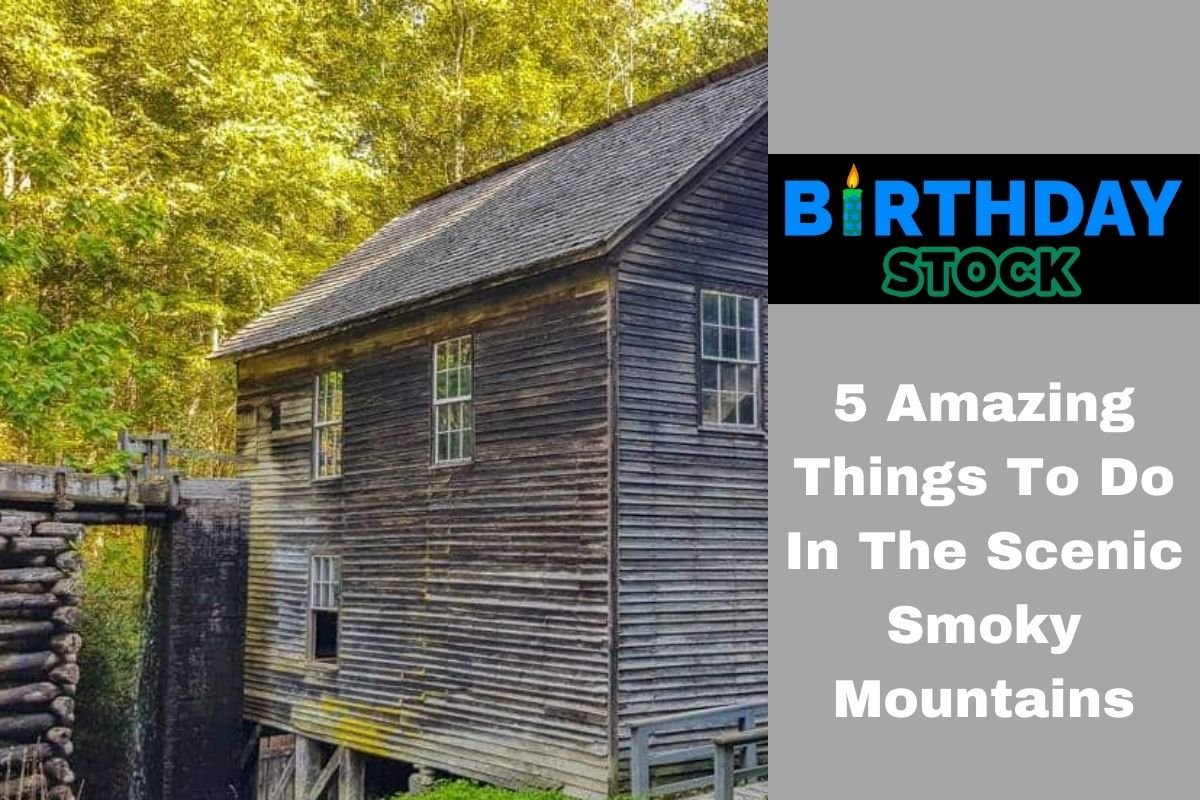 5 Amazing Things To Do In The Scenic Smoky Mountains
