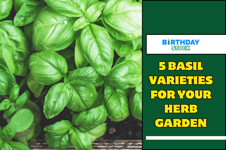 5 Basil Varieties For Your Herb Garden