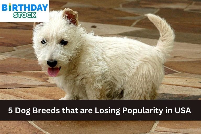 5 Dog Breeds that are Losing Popularity in USA