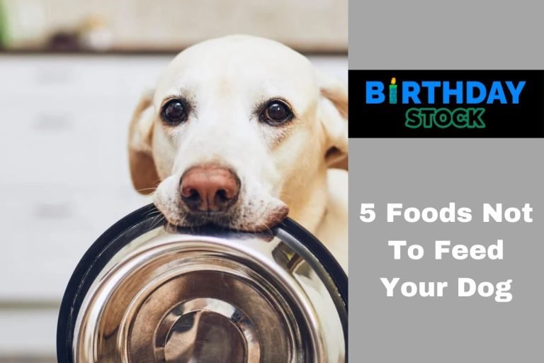5 Foods Not To Feed Your Dog