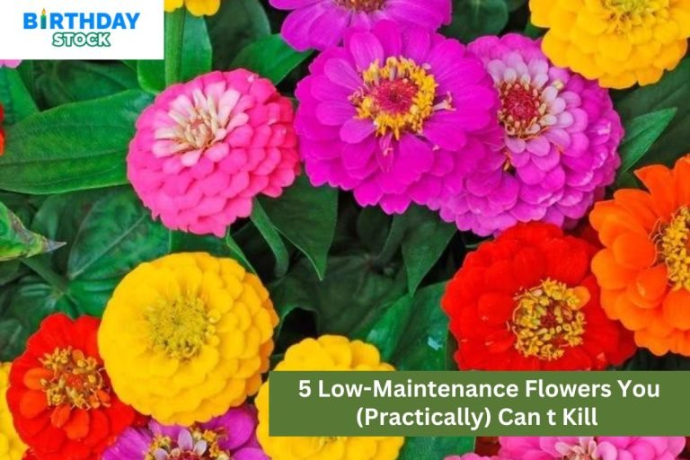 5 Low-Maintenance Flowers You (Practically) Can t Kill