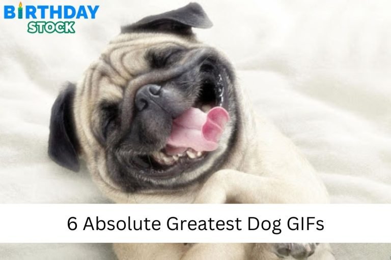 6 Absolute Greatest Dog GIFs