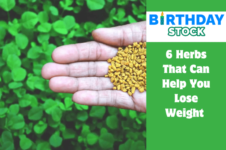 6 Herbs That Can Help You Lose Weight 