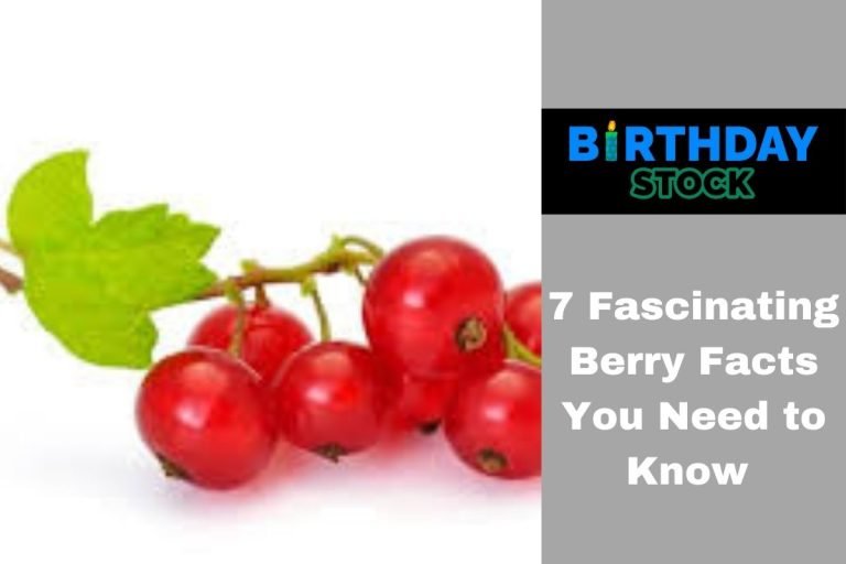 7 Fascinating Berry Facts You Need to Know