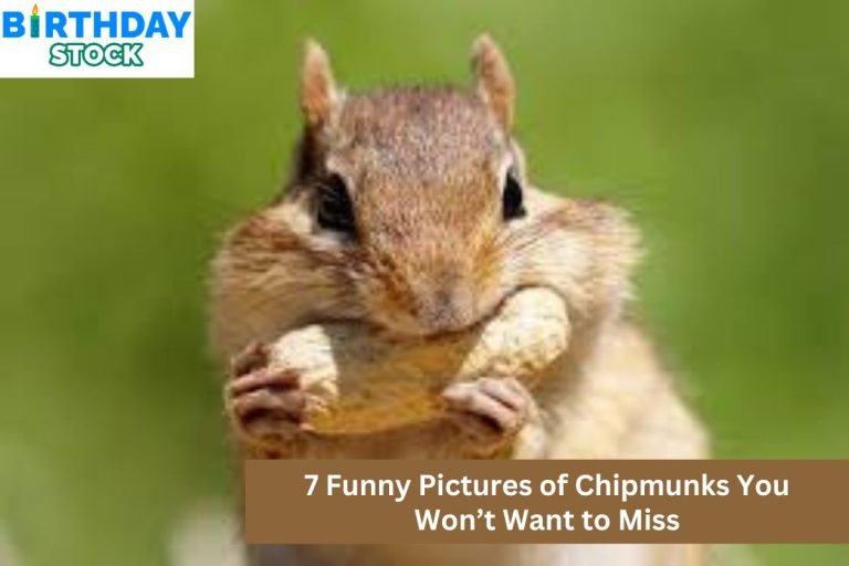 7 Funny Pictures of Chipmunks You Won’t Want to Miss