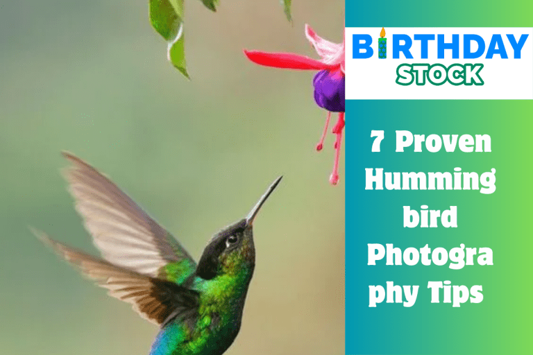7 Proven Hummingbird Photography Tips 