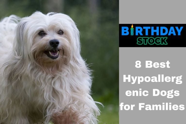 8 Best Hypoallergenic Dogs for Families