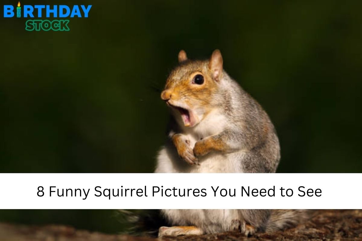 8 Funny Squirrel Pictures You Need to See