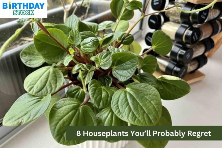 8 Houseplants You’ll Probably Regret