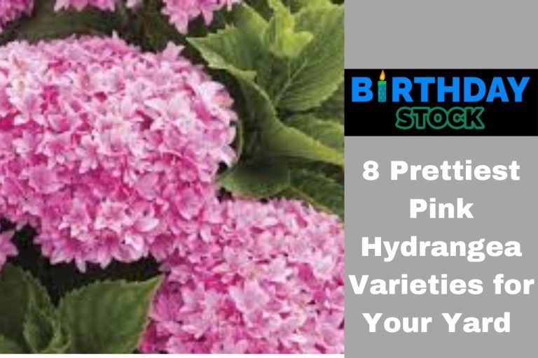 8 Prettiest Pink Hydrangea Varieties for Your Yard