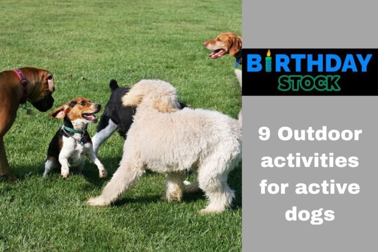 9 Outdoor activities for active dogs