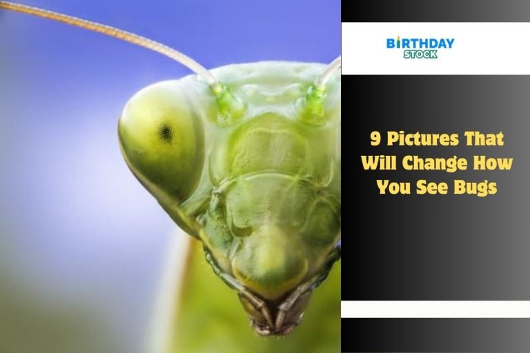 9 Pictures That Will Change How You See Bugs