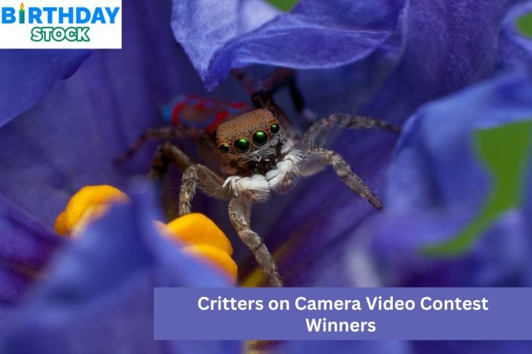 Critters on Camera Video Contest Winners