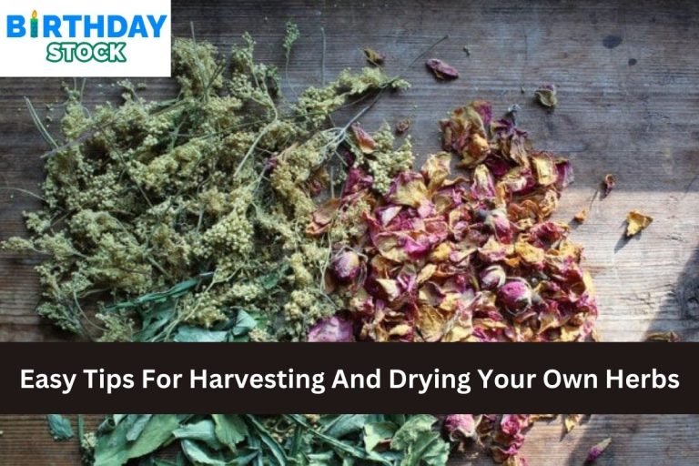 Easy Tips For Harvesting And Drying Your Own Herbs