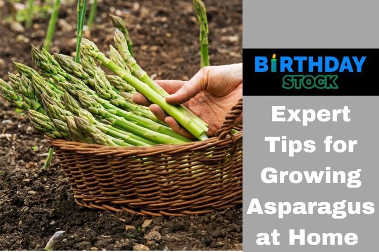 Expert Tips for Growing Asparagus at Home