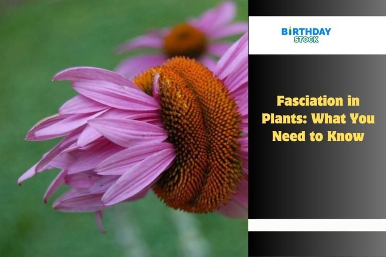 Fasciation in Plants What You Need to Know