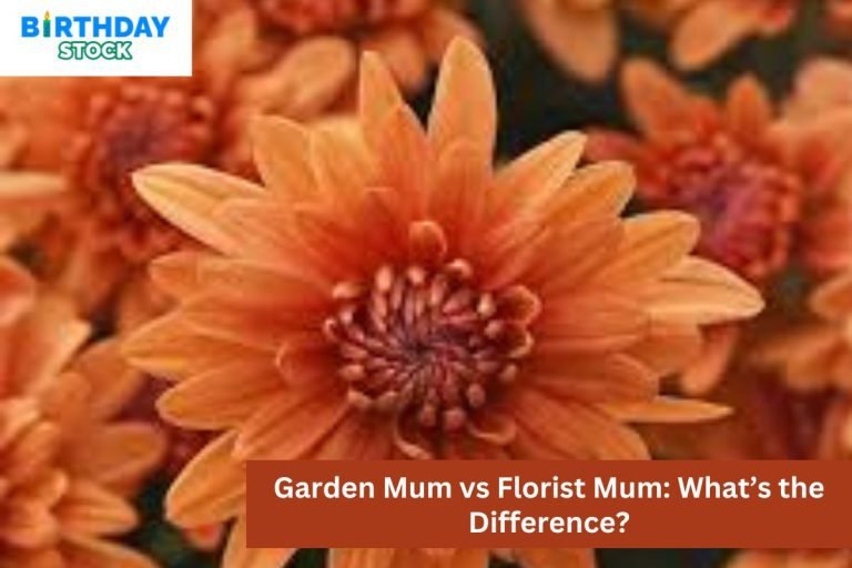 Garden Mum vs Florist Mum What’s the Difference